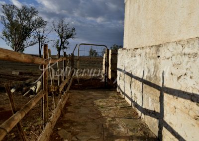 gate on farm in Colesberg