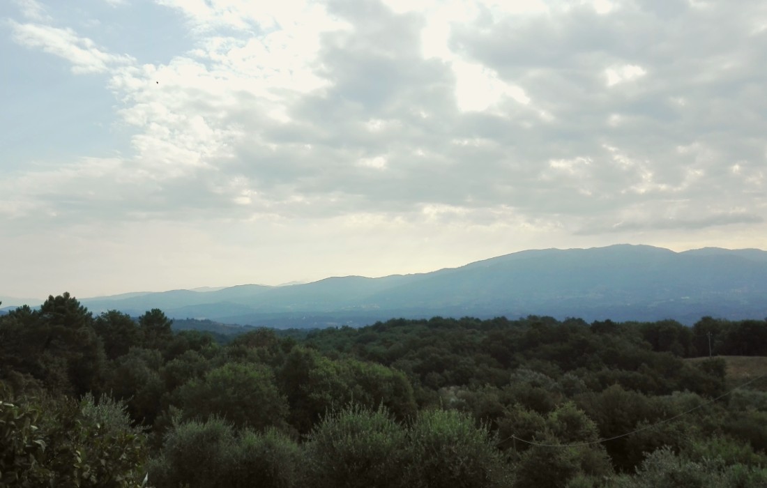 farm landscape in tuscany incisa
